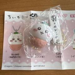 くら寿司×ちいかわ オリジナルフィギュア全種類 ◇ちいかわの「寿司皿」や「フィギュア全5種」【写真】：中日