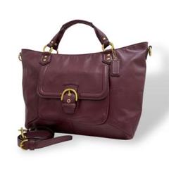 【希少色】美品 COACH コーチ ショルダーバッグ ハンドバッグ 2way