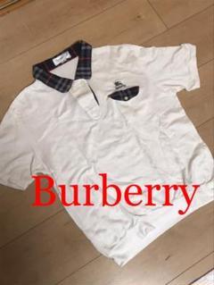 burberrys レディース ポロシャツ Lサイズ