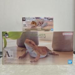 一番くじ 爬虫類 B賞ヒョウモントカゲモドキ　Ａ賞フトアゴヒゲトカゲ＋おまけ付き 最低 価格ゲーム・おもちゃ・グッズ - 一番くじ 爬虫類 B賞
