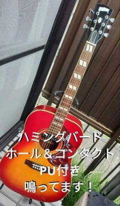 超美品 ノーブランド ハミングバード Wピックアップ付エレアコ 超美品 ノーブランド ハミングバード Wピックアップ付エレアコ