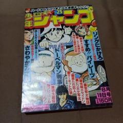 【当時物美品】週刊 少年 ジャンプ 1978年25号 漫画 アニメ