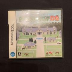 ダービースタリオン　ds ソフトなし