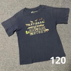 2025年最新】自然史博物館 tシャツの人気アイテム - メルカリ