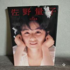 佐野量子 佐野量子
