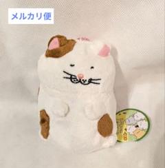 【新品未使用】でぶねこ　ミニスコ座りぬいぐるみ2　茶まる　 エスケイジャパン