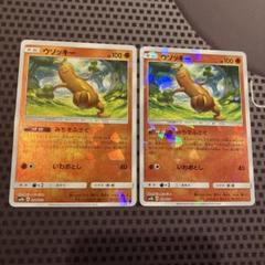 PSA9　ウソッキー　058／087　キラ　海からの風　2002 流行に 058／087 ウソッキー PSA9 キラ 2002 海からの風