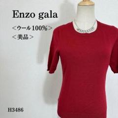 【美品】エンツォガーラ ニット 半袖 クルーネック ウール100％ M相当 赤系