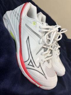 Mizuno WAVE CLAW3 FIT 2バドミントンシューズ24.0センチ