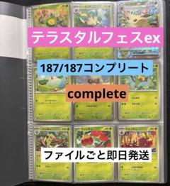 2025年最新】テラスタルフェスEXの人気アイテム - メルカリ