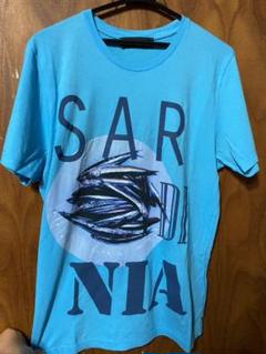 楽天市場】ETRO エトロ 半袖 Tシャツ 1Y020 9130 メンズ ペガソ