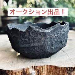 大鉢 美品 菊地元野 XL アガベ グラキリス raw life factory □8labo 菊地元野 陶器鉢□invisible ink raw life factory たけ