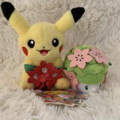 ポケモンセンター限定】ピカチュウ＆シェイミ ぬいぐるみ 20周年
