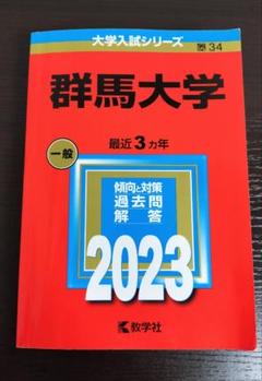 赤本　群馬大学　医学部　2005年～2022年 18年分 赤本 群馬大学 医学部 2005年～2022年 18年分