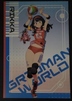 グリッドマン ワールド ヒロインズ 新条あかね 特典コンプセット 2025年最新】グリッドマン ワールド ヒロインズの人気アイテム