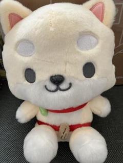 JO1 ジェオチャム　ぬいぐるみ　まめちぃ