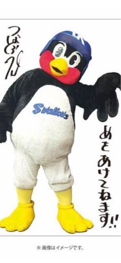【新品未開封】つば九郎　ほほ等身大　タオルケット　リーゼントたたせてよ 入手困難 つば九郎 ほぼ等身大タオルケット｜Yahoo!フリマ（旧