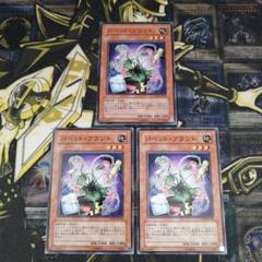 遊戯王3枚　パペット・プラント　ノーマル