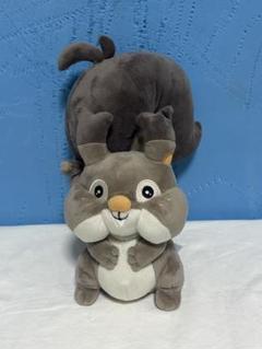 ポケモン ホシガリス ぬいぐるみ ポケモンセンター 数量限定 Amazon.co.jp: ポケモンセンターオリジナル ふわふわ抱き