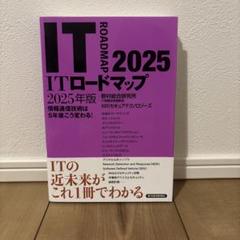 ITロードマップ 2025年版