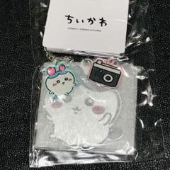 ハチワレ　カメラ　カニ