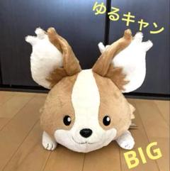 【ゆるキャン▲ SEASON 3】 ぬいぐるみ ✨全5種コンプセット✨ Amazon.co.jp: ゆるキャン△SEASON3 ぬいぐるみ 3点セット