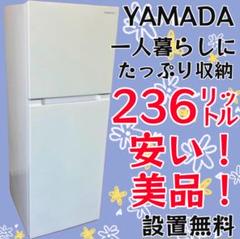 603 冷蔵庫 一人暮らし ヤマダ 200-300ℓ 設置無料 中古 綺麗