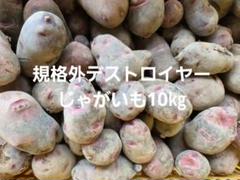 長崎県産規格外デストロイヤーじゃがいも10㎏ - メルカリ