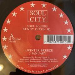 Kenny Dixon Jr. – Soul Sounds ムーディーマン
