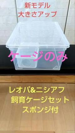 2025年最新】レプタイルボックス ワイドの人気アイテム - メルカリ