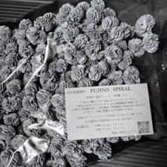 フジノスパイラル 中古10L