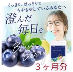 大人気! シードコムス ブルーベリー ( ビルベリー 入り) 3ヶ月分