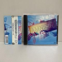 【廃盤】 AMNESIA アムネジア　ジキル 黒夢 レディースルーム