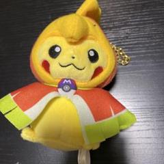 ポケモン ホウオウ ポンチョ ピカチュウ マスコット キーホルダー