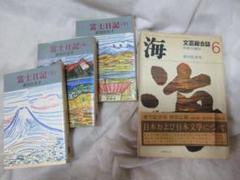 文芸綜合誌「海」発刊記念号 武田泰淳「富士」への感想と「富士