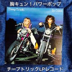 ［珍盤］パブルガムポップ　LPレコード ベスト盤　ポップス　パワーポップ 珍盤］パブルガムポップ LPレコード ベスト盤 ポップス パワー