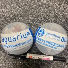 2025年最新】サンシャイン水族館フィギュアの人気アイテム