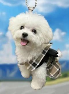 犬　ビション・フリーゼ　チャーム　ストラップ　ミニ　レジン　プレゼント　お出かけ 犬 ビション・フリーゼ チャーム ストラップ ミニ レジン