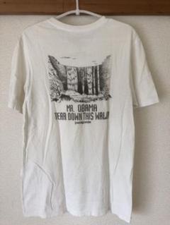 patagonia パタゴニア Tシャツ S 2013年 USA製 日本未発売