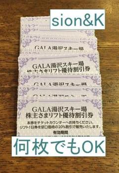 ガーラ湯沢　23-24シーズン　一日リフト券✖️2枚 ガーラ湯沢 早割リフト券 2024-2025シーズン