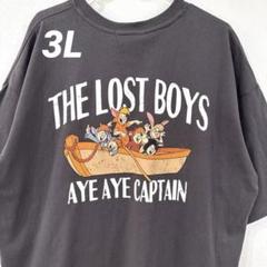 Disney ピーターパン　ロストボーイズ　半袖　Tシャツ　レディース　3L