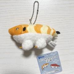 ソユー限定 スシニギリス マスコット サーモンニギリス