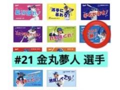 中日ドラゴンズ 金丸夢人 シークレット選手ミニフェイスタオル