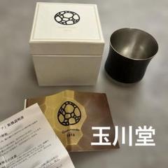 玉川堂ビールカップ５個セット 2025年最新】玉川 ビールカップの人気アイテム - メルカリ