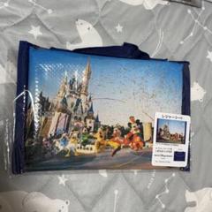 送料込 ディズニーランド 40周年 まとめ売り クッション レジャーシート 等 送料込 ディズニーランド 40周年 まとめ売り クッション