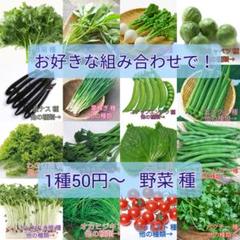 野菜種☆葉ねぎ オカヒジキ ベビーリーフ 春菊☆変更→スイスチャード ケール