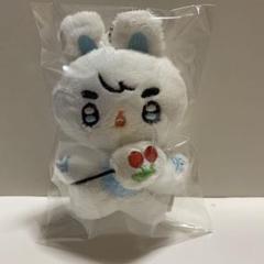 2025年最新】seventeen エスクプス ぬいぐるみの人気アイテム