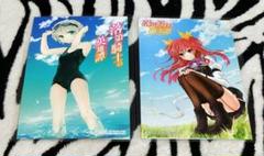 落第騎士の英雄譚 イラストカード ２種類セット ラミネート済 バラ売り❌