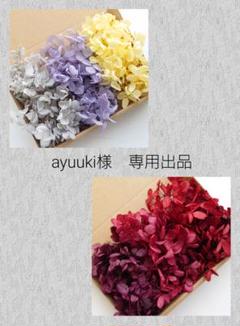 最前線の ❤Ayumiꪔ̤̮様 専用❤ - おもちゃ/人形
