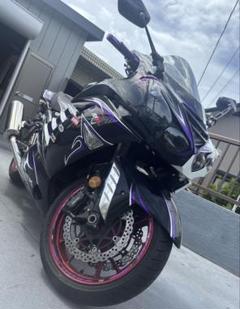 メルカリ引退人専用 m74549789667_1.jpg?1734613177
